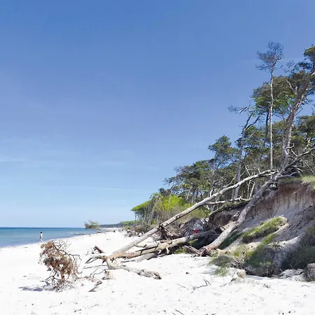 5 Sterne Grosse Strandperle Fuer Ihren Urlaub Zwischen Ostsee Und Bodden Apartamento Wustrow (Fischland)
